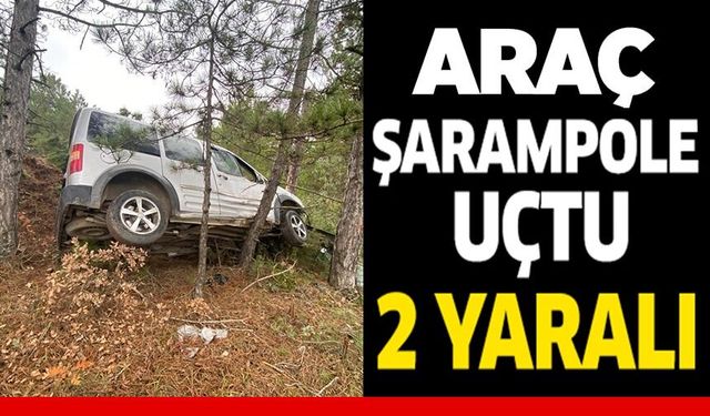 ARAÇ ŞARAMPOLE UÇTU: 2 YARALI