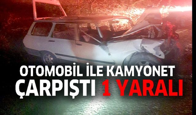 BİLECİK'TE OTOMOBİL İLE KAMYONET ÇARPIŞTI: 1 YARALI