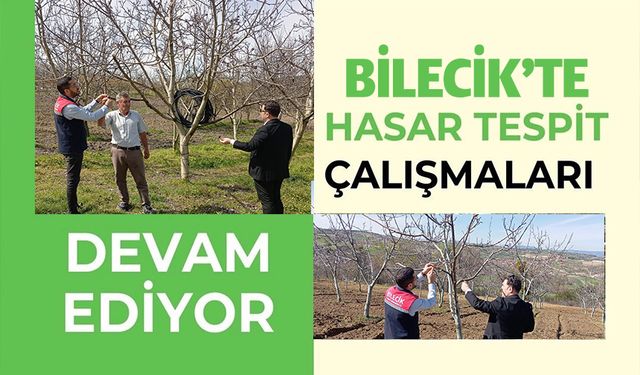 BİLECİK'TE DON AFETİ SONRASI HASAR TESPİT ÇALIŞMALARI DEVAM EDİYOR