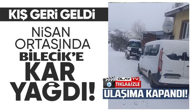 BİLECİK'TEKİ KAR BAZI KÖY YOLLARINI ULAŞIMA KAPATTI