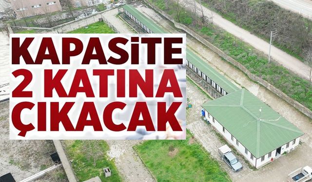 SOKAK HAYVANLARI İÇİN ÖNEMLİ ADIMLAR ATACAKLAR