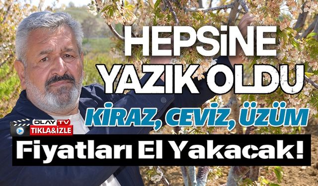 TÜRKİYE'NİN EN 'ERKENCİ' KİRAZINI DA DON VURDU