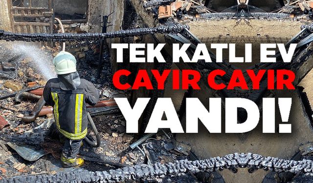 TEK KATLI EV CAYIR CAYIR YANDI