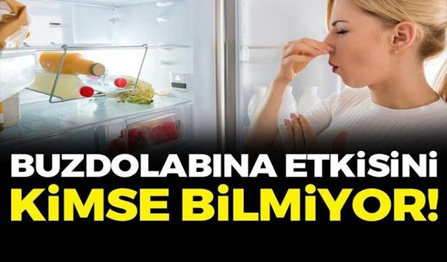 KÖTÜ KOKUYU VAKUM GİBİ ÇEKİYOR, BAKTERİLERİN KÖKÜNÜ KAZIYOR