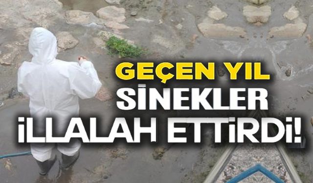 YAZ MEVSİMİ ÖNCESİ SAĞLIKLI ÇEVRE