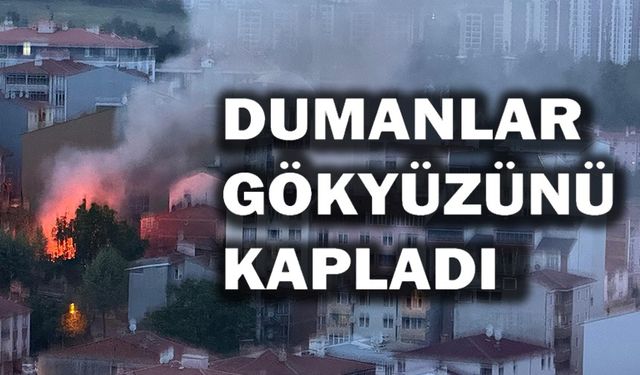 DUMANLAR GÖKYÜZÜNÜ KAPLADI