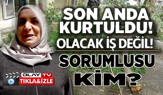 YAŞANAN FIRTINADA ÜZERİNE AĞAÇ DALI DÜŞMESİNDEN SON ANDA KURTULDU