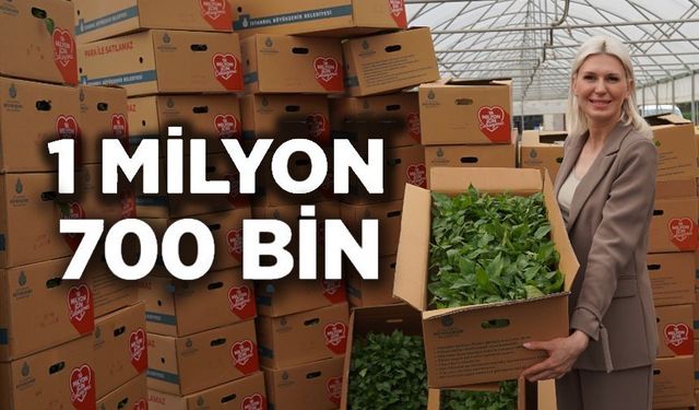 SON ÜÇ YILDA 1 MİLYON 700 BİN FİDE DAĞITILDI