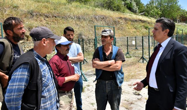 KURBAN BAYRAMI ÖNCESİ İNCELEME