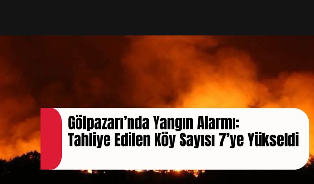 GÖLPAZARI’NDA YANGIN ALARMI