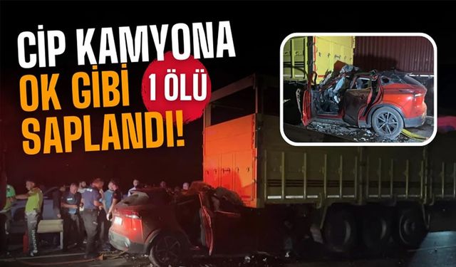 D-650'DE CİP, KAMYONA OK GİBİ SAPLANDI: 1 ÖLÜ