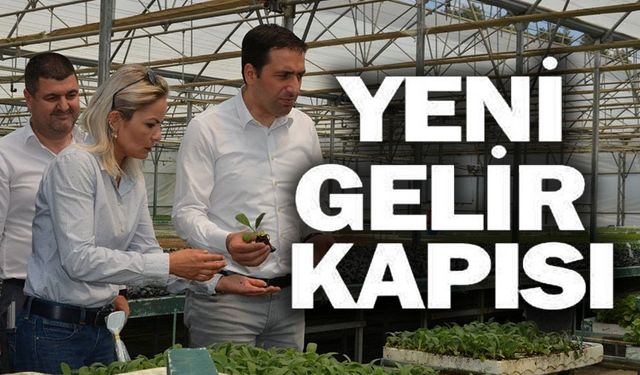 YENİ GELİR KAPISI