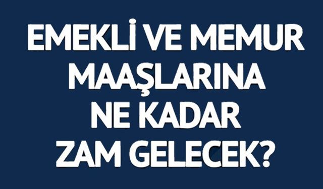 MEMUR VE EMEKLİ MAAŞLARI NE KADAR OLACAK?