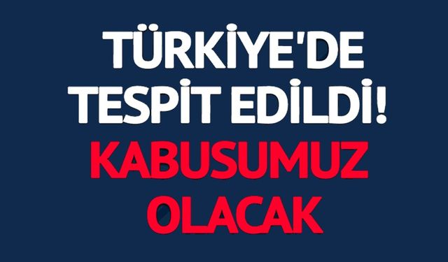 TÜRKİYE'DE TESPİT EDİLDİ! KÂBUSUMUZ OLACAK: