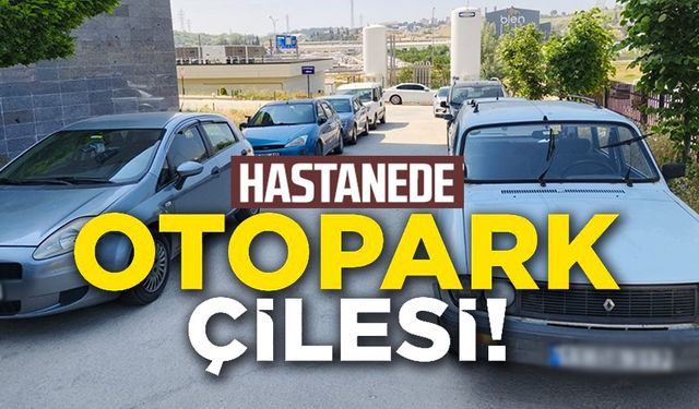 GELİŞİ GÜZEL PARKLANMA SÜRÜCÜLERİ ZORA SOKUYOR