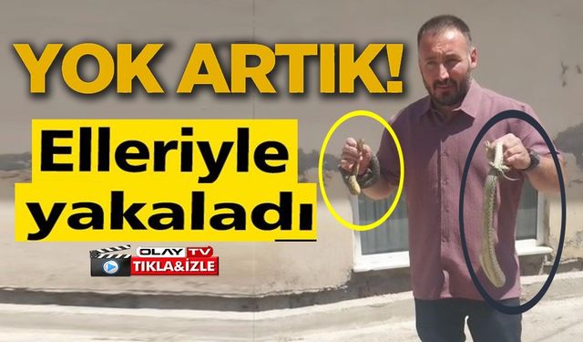 KOMŞUSUNUN EVİNE GİREN YILANLARI ELİYLE ÇIKARDI, ADI 'YILAN AVCISI' OLDU