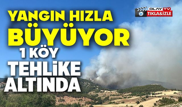 ORMAN YANGINI HIZLA BÜYÜYOR