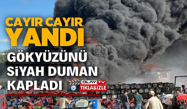 PLASTİK KASALAR TUTUŞTU, GÖKYÜZÜNÜ SİYAH DUMAN KAPLADI