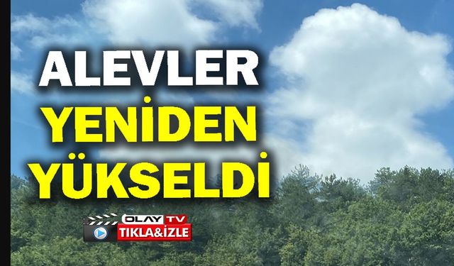 GÖLPAZARI'NDA YANGIN BÖLGESİNDE ALEVLER YENİDEN YÜKSELDİ, EKİPLER HAREKETE GEÇTİ
