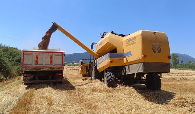 TARIM ARAZİLERİNDE HASAT SEVİNCİ