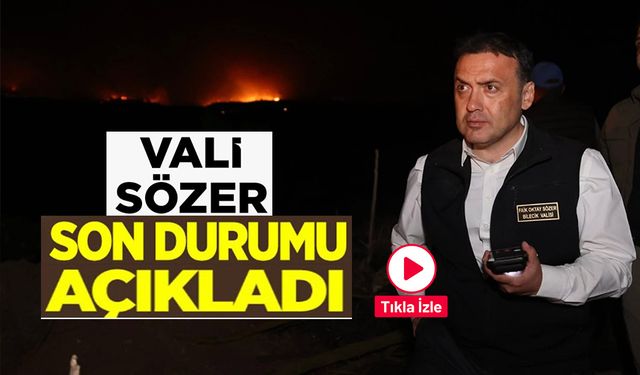 BİLECİK'TEKİ YANGINDA ALEVLER İLÇE MERKEZİNE DOĞRU İLERLİYOR