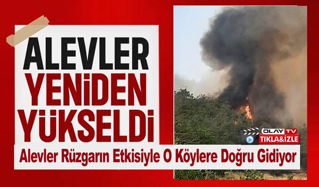 BİLECİK'TE ALEVLER YENİDEN YÜKSELMEYE BAŞLADI