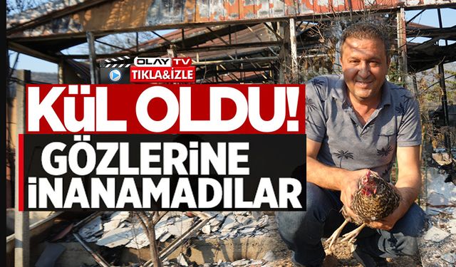 YANGINDAN KAÇIP KURTULAN TAVUK KÜMESİNE GERİ DÖNDÜ