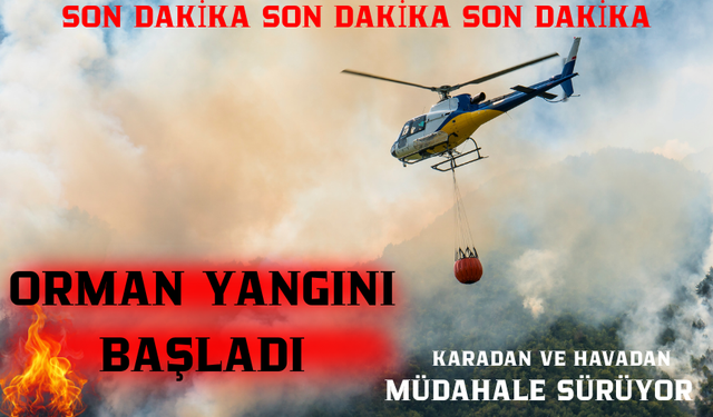 BİLECİK’TE ORMAN YANGINI BAŞLADI