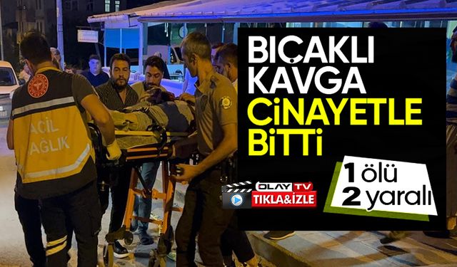 BİLECİK'TE BIÇAKLI KAVGA CİNAYETLE BİTTİ: 1 ÖLÜ, 2 YARALI