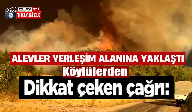 BİLECİK'TEKİ ORMAN YANGININDA ALEVLER BORCAK KÖYÜNE DOĞRU İLERLİYOR