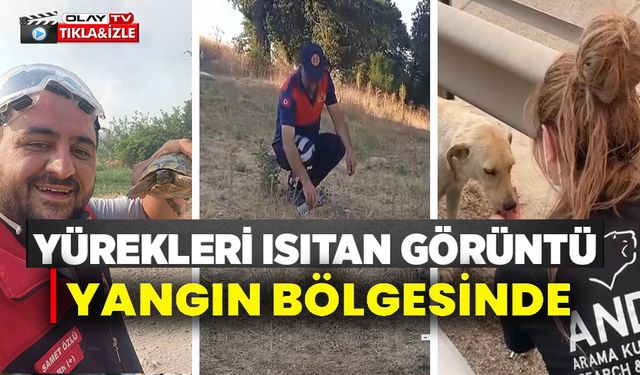 YANGINDAN ETKİLENEN HAYVANLARA ELLERİYLE SU VERDİLER