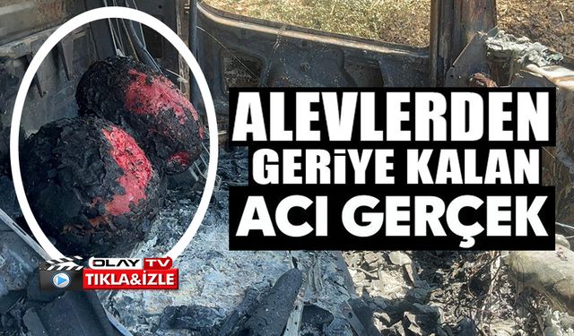 ORMAN YANGININDAN GERİYE KALANLAR
