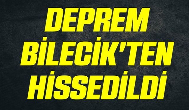 GEMLİK'TE MEYDANA GELEN DEPREM BİLECİK'TE DE HİSSEDİLDİ