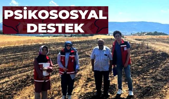YANGININ ARDINDAN PSİKOSOSYAL DESTEK İNCELEMESİ