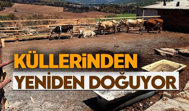 KÖY SAKİNİNİN AHIRI BELEDİYE ÇALIŞANLARI TARAFINDAN YENİDEN İNŞA EDİLDİ