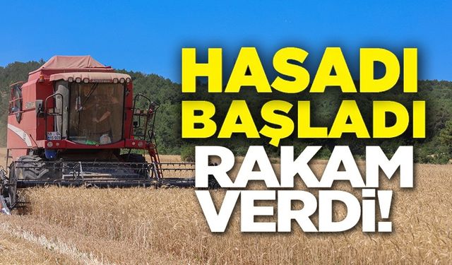 BU YIL 75 BİN 104 TON BUĞDAY HASADI YAPILACAK
