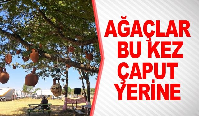 AĞAÇLAR, ÇAPUT YERİNE ÇÖMLEKLE SÜSLENDİ