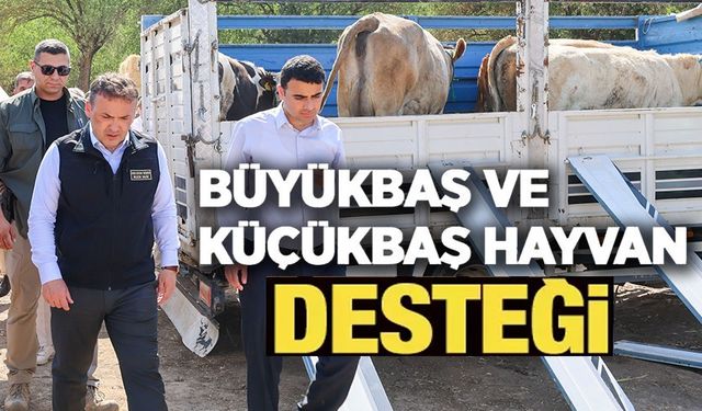 YANGIN SONRASI ÜRETİCİLERE BÜYÜKBAŞ VE KÜÇÜKBAŞ HAYVAN DESTEĞİ SAĞLANDI