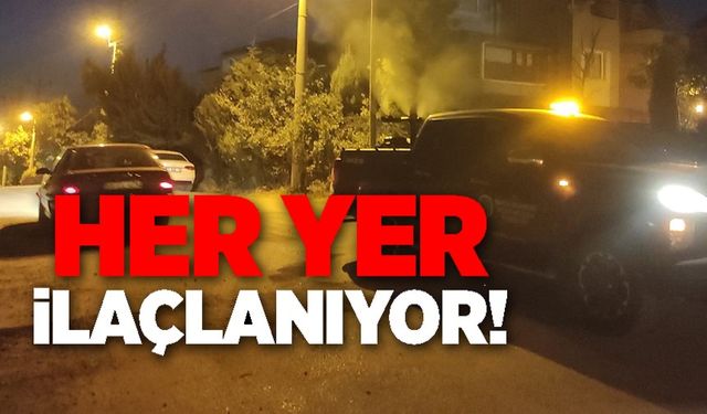 MAHALLE MAHALLE SİNEK İLAÇLAMASI