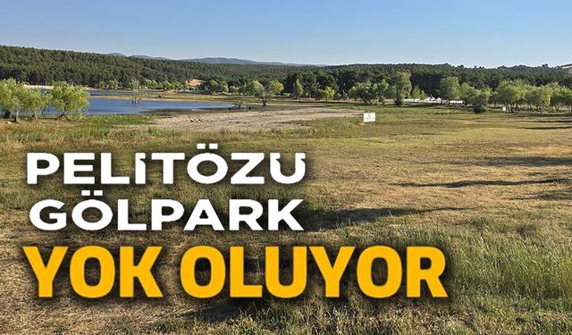 PELİTÖZÜ GÖLET'İNİ KURAKLIK VURDU, SULAR 50 METRE ÇEKİLDİ