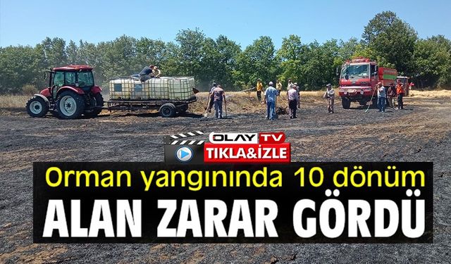 BUĞDAY TARLASINDA ÇIKAN YANGINDA 10 DÖNÜMLÜK ALAN ZARAR GÖRDÜ