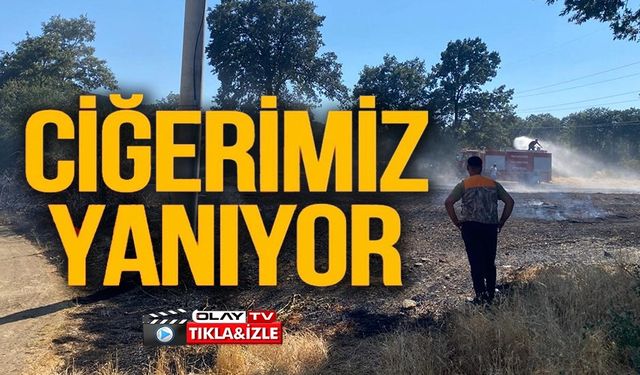 ORMANLIK ALANA SIÇRAYAN YANGINA MÜDAHALE EDİLİYOR