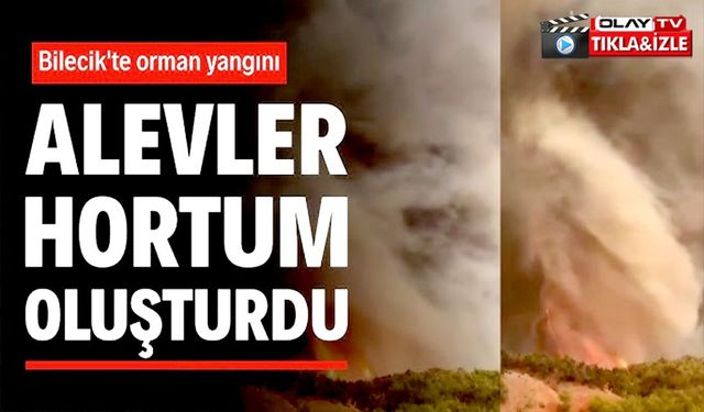 ORMAN YANGINININ EN ÇARPICI GÖRÜNTÜSÜ: ALEVLER ADETA HORTUM OLUŞTURDU