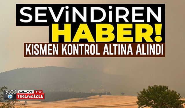 BİLECİK'TE ORMAN YANGINI KISMEN KONTROL ALINDI