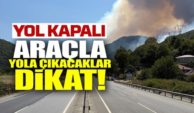 YANGIN NEDENİYLE BİLECİK İSTİKAMETİNE YOL KAPATILDI, BAZI EVLER TAHLİYE EDİLDİ