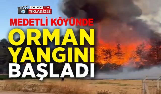 MEDETLİ KÖYÜNDE ORMAN YANGINI BAŞLADI