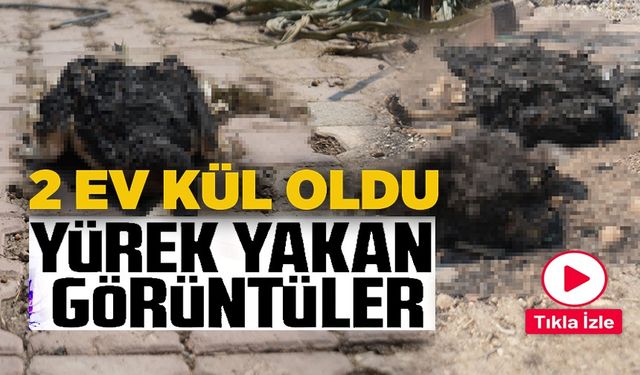 ORMAN YANGINI ARDINDA ÜZÜCÜ GÖRÜNTÜLER BIRAKTI