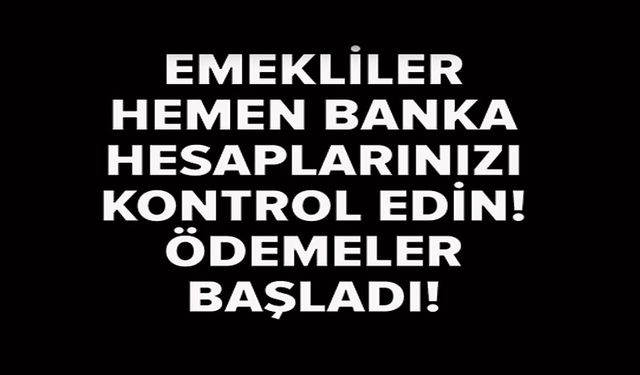 EMEKLİ SANDIĞI FARK ÖDEMELERİ