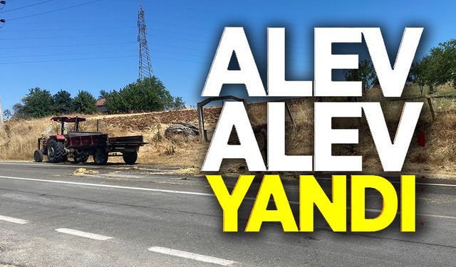 ALEV ALEV YANAN RÖMORK PANİĞE SEBEP OLDU