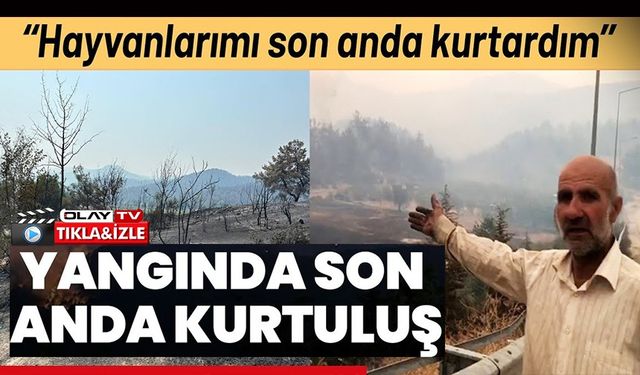 ALEVLER YENİDEN YÜKSELDİ, ZEYTİNLİĞİ YANAN KÖYLÜ O ANLARI ANLATTI